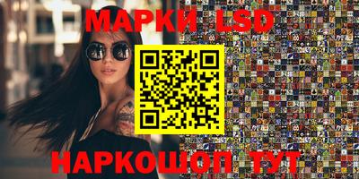PSILOCYBIN Нальчик