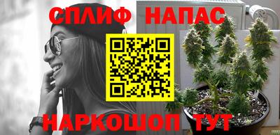 прущие грибы Нарткала