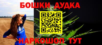 PSILOCYBIN Нальчик